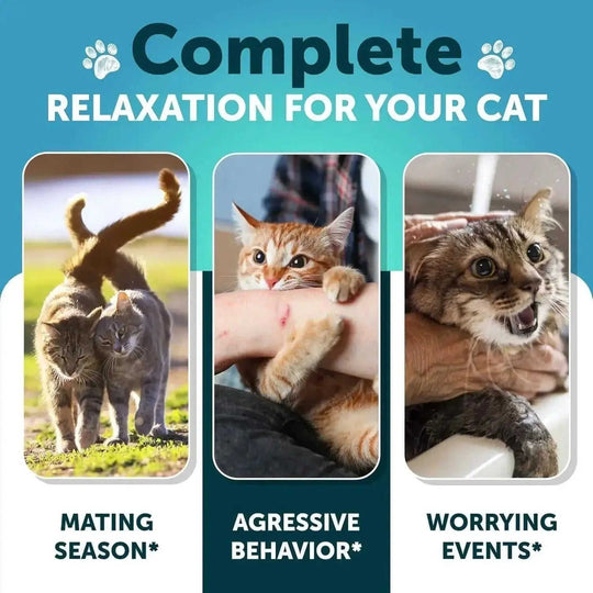 Cat Calming Treats - Natural Wellness Supplement for Cats & Kittens | Chicken Flavor Artullano - packaging and presentation