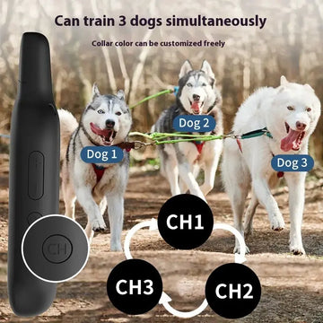Pet Collar Waterproof Remote Control Dog Trainer Meifu Market