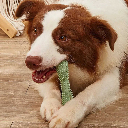 Chew Toys For Dog Teeth Cleaning Pink - main product image