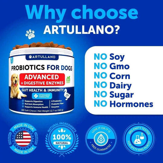 Dog Probiotics Chews - Digestive Wellness Support 180 Count Artullano - pupgrade digestive support chews for dogs with pre...