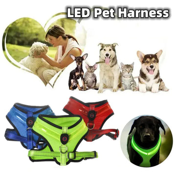 LED Luminous Dog Harness Led USB Charging Dog Chest Strap Vest Pet Safety Reflective Harness Pet Vest For Puppy Large Dog Pet Products Meifu Market