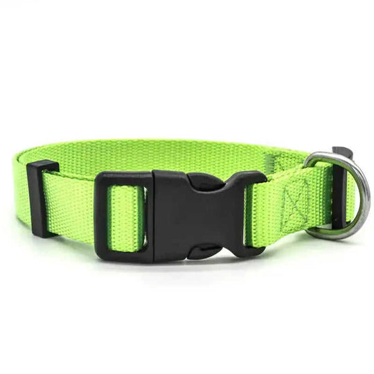 New Pet Collar Red - color variant display