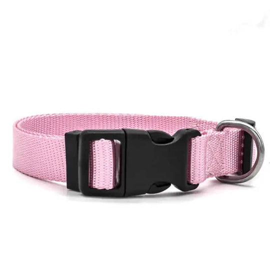 New Pet Collar Red - color variant display