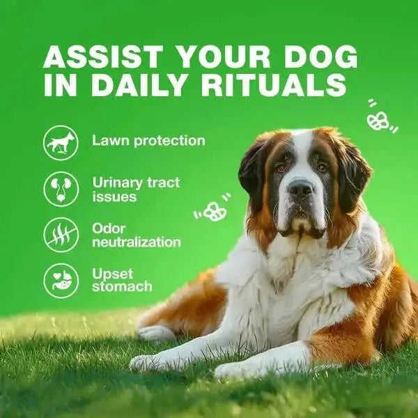 Grass Burn Spot Chews For Dogs Urine Neutralizer Meifu Market