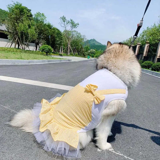 Dog Clothes Princess Dog Costume Labrador Golden Retriever Big Dog Clothes 4XL - texture and material detail