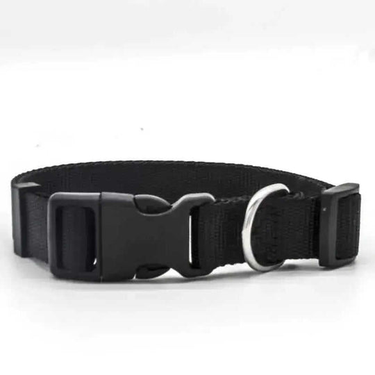 New Pet Collar Red - complete package contents