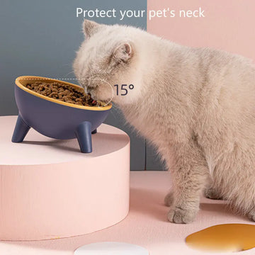 Cat Dog Bowl With Stand Pet Feeding Food Bowls Dogs Bunny Rabbit Nordic Color Feeder Product Supplies Pet Accessories Meifu Market