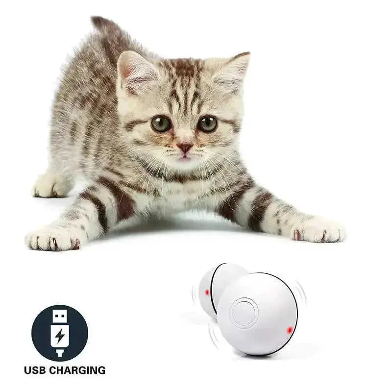 automatic laser ball | interactive cat toy ball | usb rechargeable cat toy | energy saving