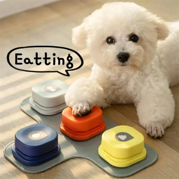 4 Colors Pet Communication Button One-click Prevent Physical Inactivity Recordable Dog Talking Button Toy Cat Toy Pet Products Meifu Market