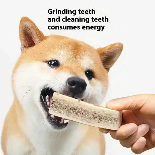 Bite Resistant And Teeth Cleaning Pet Snacks M - front view 0