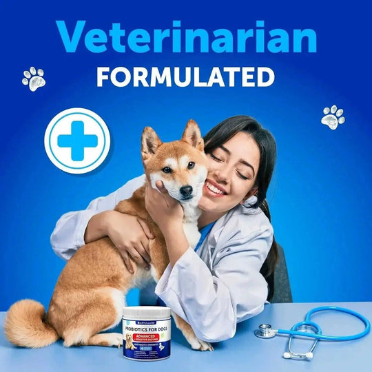 Dog Probiotics Chews - Digestive Wellness Support 180 Count Artullano - lifestyle usage image