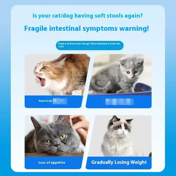 Pet Active Probiotic Tablets 180 Tablets Meifu Market