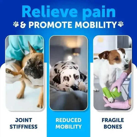 Hemp Hip And Joint Supplement For Dogs Glucosamine For Dogs Meifu Market