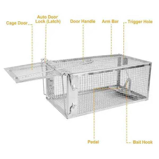 Humane Rat Trap Cage 2 Pack - Live Mouse Rodent Trap Galvanized Steel Catch Release Meifu Market