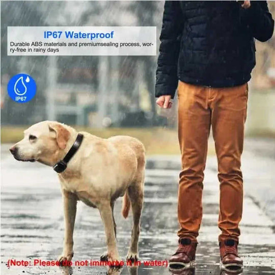 Dog Training Collar Receiver IP67 Waterproof Style1 - in 1 dog training collar 1000 meter range anti-bark collar with remo...