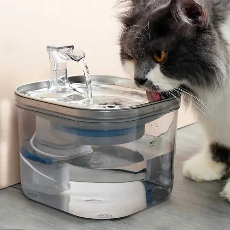 Pet Cat Dog Stainless Steel Automatic Circulation Water Dispenser Intelligent Fountain Pets Accessories Meifu Market