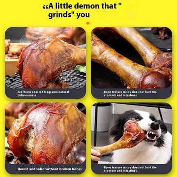 Large Small Puppies Teeth Cleaning Training Reward Pet Molar Rod Meifu Market