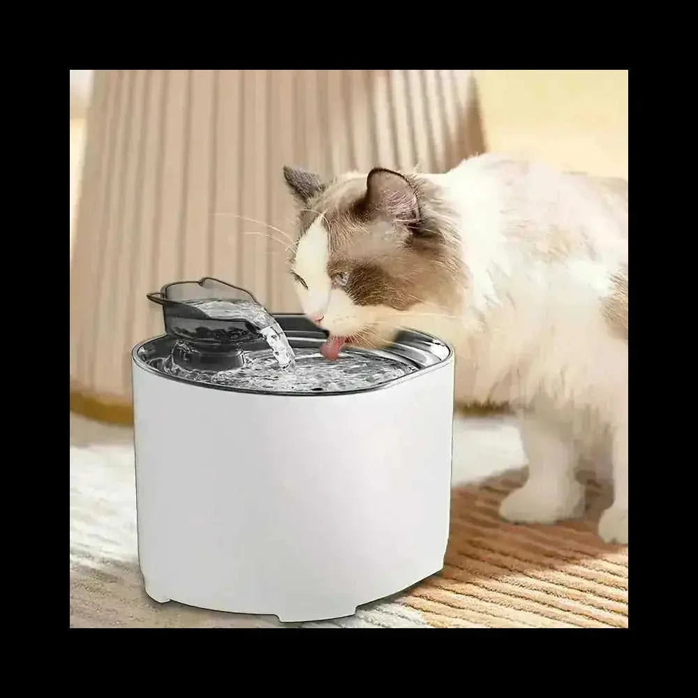 energy saving | ultrasonic cleaning | free returns | for home use