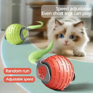 New Interactive Cat Toys Ball Auto Electric Rolling Ball Toys For Cat Kitty Pets Smart Automatic Teaser USB Rechargeable Cat Toy Pet Products Meifu Market