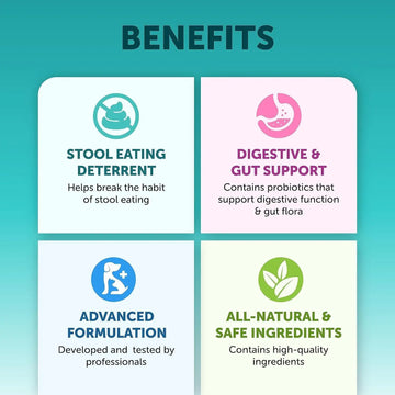 Pet Intestinal Probiotic Chewable Tablets Meifu Market