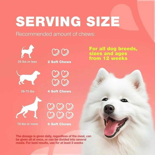 Dog Flea And Tick Treatment Chews FleaTick Prevention For Dogs Chewables Natural Dog Flea & Tick Control Soft Treats Immune Support Supplement Meifu Market