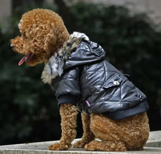 Cross-border pet supplies pet clothes dog clothes autumn and winter fur collar coat pet dog clothing M - alternative view