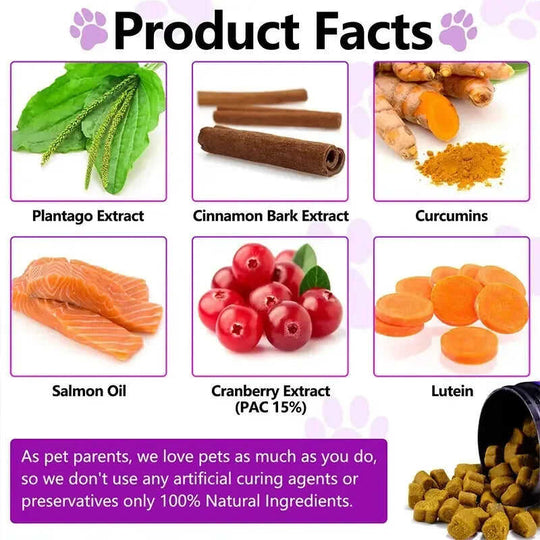 Pet Probiotics Chews - Digestive Health Supplements for Dogs Meifu Market