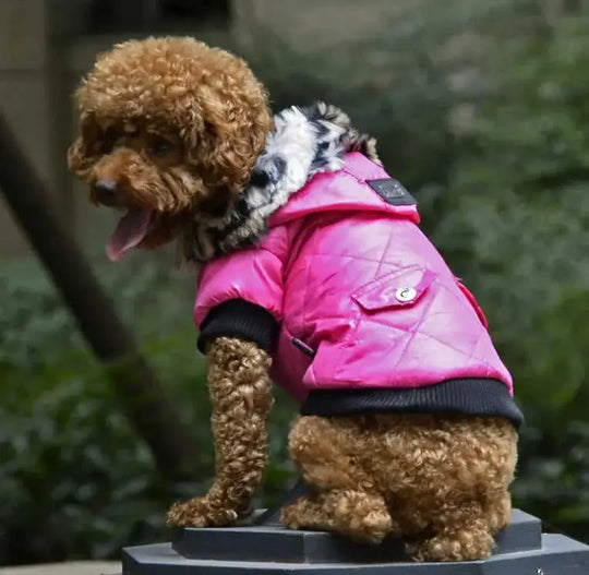Cross-border pet supplies pet clothes dog clothes autumn and winter fur collar coat pet dog clothing M - styled cross-bord...