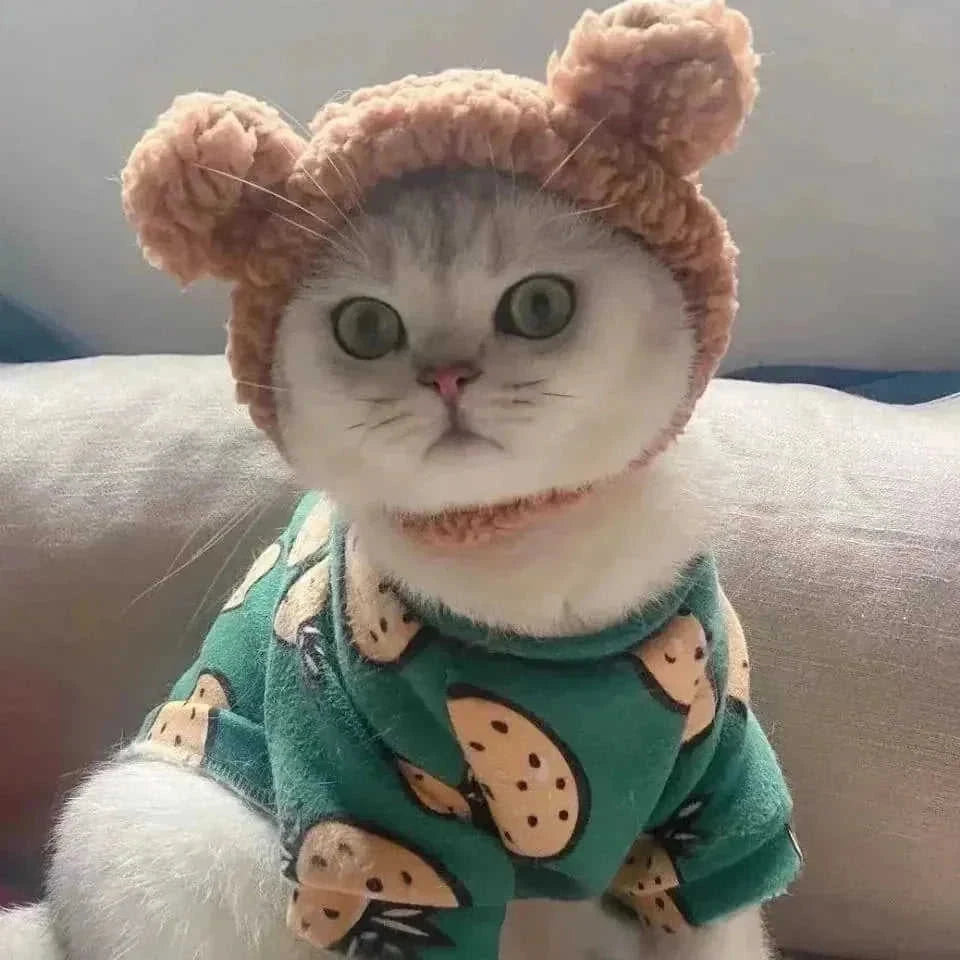 bear plush hood for pets | pet photo prop headwear | dog costume dress up accessories | ultrasonic cleaning