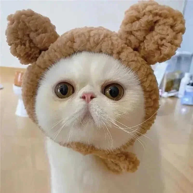 bear plush hood for pets | pet photo prop headwear | dog costume dress up accessories | energy saving