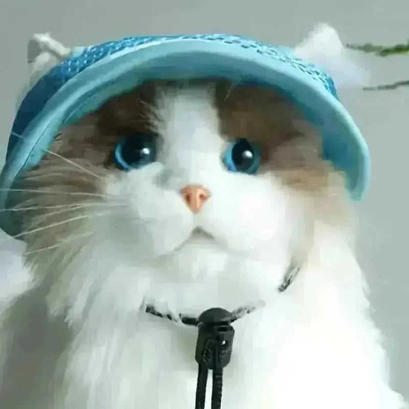 adjustable pet sun hat | uv protection for dogs | sun hat for cats | ultrasonic cleaning