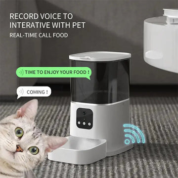 Pet Automatic Feeder Large Capacity Smart Voice Recorder APP Control Timer Feeding Cat Dog Food Dispenser With WiFi Pet Bo Meifu Market
