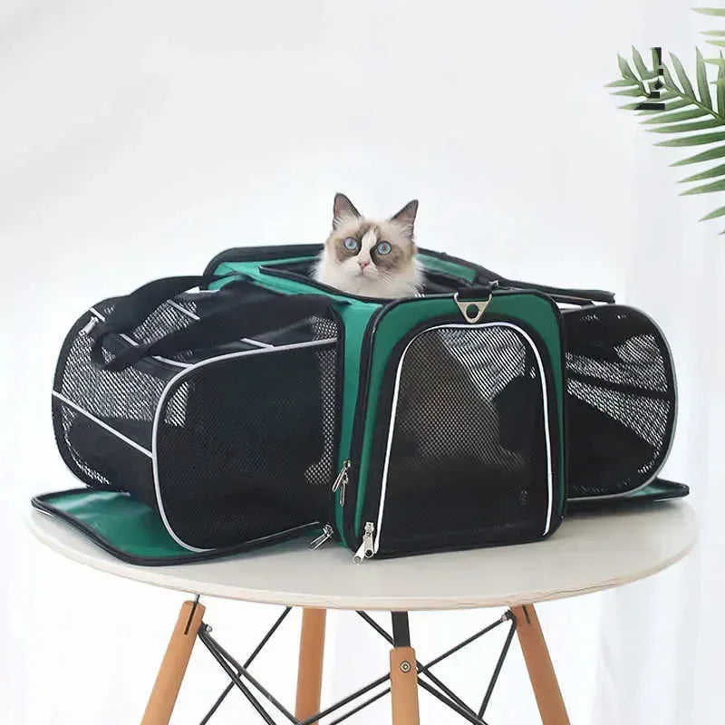 Pets Go Out Backpack Portable Space Capsule Large Capacity Shoulder Dog Meifu Market