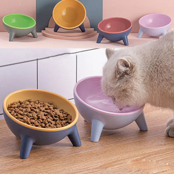 Cat Dog Bowl With Stand Pet Feeding Food Bowls Dogs Bunny Rabbit Nordic Color Feeder Product Supplies Pet Accessories Meifu Market