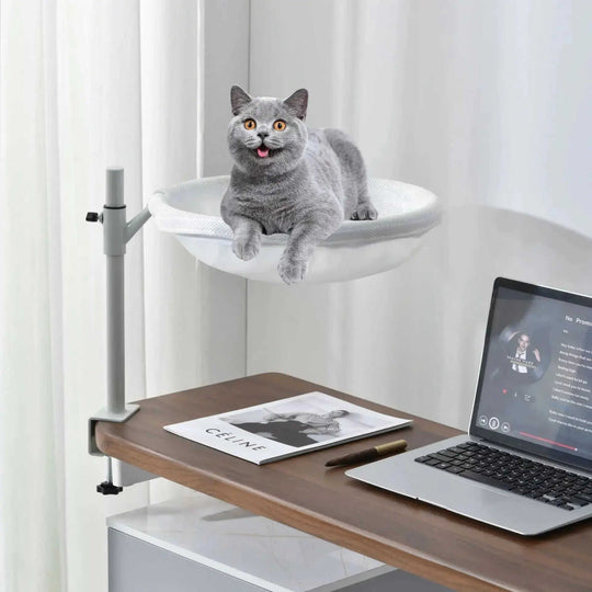Household Non-occupied Desktop Suspended Cat Bed Black - styled cat window perch vs desktop suspended bed photo