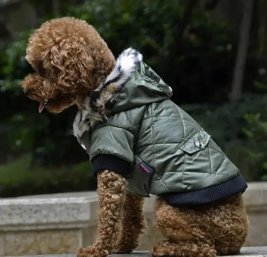 Cross-border pet supplies pet clothes dog clothes autumn and winter fur collar coat pet dog clothing M - front view 0