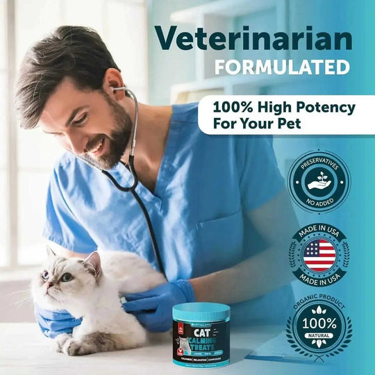 Cat Calming Treats - Natural Wellness Supplement for Cats & Kittens | Chicken Flavor Artullano - lifestyle usage image