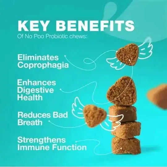 No Poo Chews For Dogs Coprophagia Deterrent For Dogs Forbid For Dogs Stool Eating Deterrent Dog Probiotics For Digestive Health Digestive Gut Immune Health Treats No Poop Eating For Dogs Meifu Market