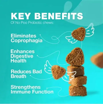 No Poo Chews For Dogs Coprophagia Deterrent For Dogs Forbid For Dogs Stool Eating Deterrent Dog Probiotics For Digestive Health Digestive Gut Immune Health Treats No Poop Eating For Dogs Meifu Market