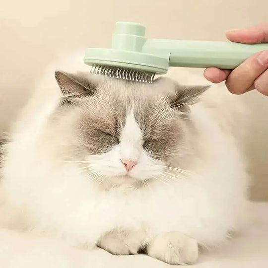 Groom Your Pet With Ease: 1pc Pet Grooming Brush With Stainless Steel Teeth & Dematting Comb For Dogs & Cats Grey - availa...