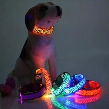LED Dog Collar Safety Adjustable Nylon Leopard Pet Collar Meifu Market