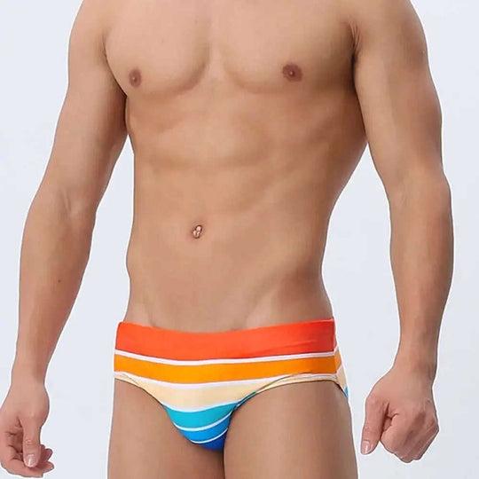 Men's Multi-Color Stripe Print Swim Briefs Holiday Beachwear Meifu Market