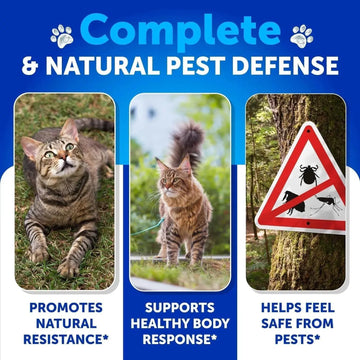 Flea Treatment For Cats Natural Flea And Tick Prevention Supplement For Cats Kittens Chewable Daily Oral Pills With Vitamins 135 Soft Chews Skin & Coat Dental Treats Digestion CANNOT Be Sold On Amazon Meifu Market