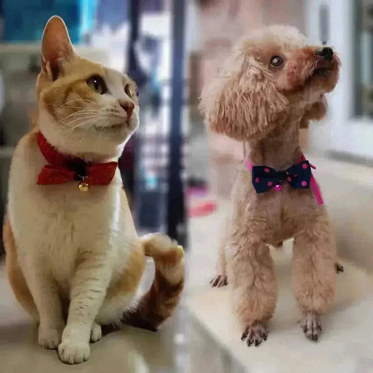 personalized pet bow tie | adjustable dog collar bow | cat bow tie accessories | ultrasonic cleaning