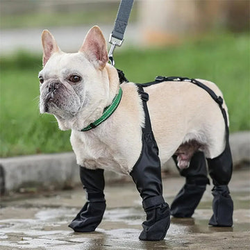 Waterproof Dog Shoes Adjustable Dog Boots Pet Breathbale Shoes For Outdoor Walking Soft French Dog Shoes Pets Paws Protector Pet Products Meifu Market