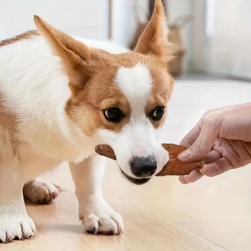 Pet-shaped Chik Chicken Wrapped In Rawhide Chewy Natural Meat Snack For Dogs Suitable For All Sizes. Meifu Market