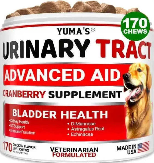 Dog UTI Treatment 170 Treats Cranberry Supplement For Dogs Bladder Control For Dogs 1PC - front view 5