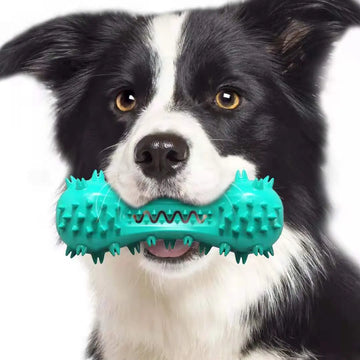 Pet Dog Cleaning Chew Toys For Aggressive Dogs Rubber Molar Stick Dog Oral Teeth Meifu Market