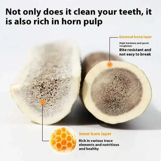 Bite Resistant And Teeth Cleaning Pet Snacks M - alternative view