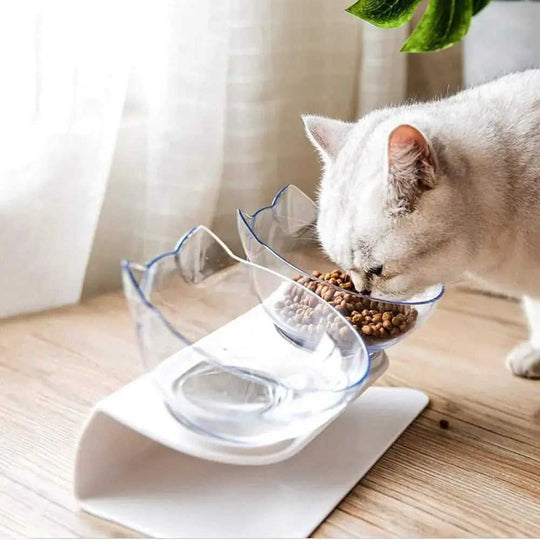 Non Slip Double Cat Bowl With Raised Stand Pet Food Cat Feeder Protect Cervical Vertebra Dog Bowl Transparent Pet Products...